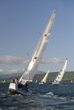 animal gbr1952l whw12 fri gjmc 8919